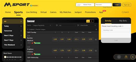 msport bet login